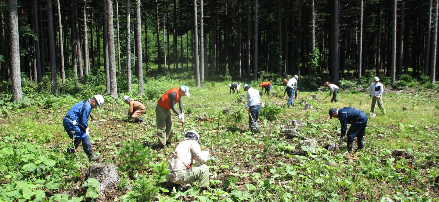 花壇整備の画像