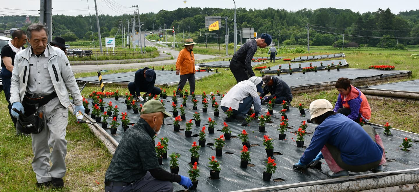 花壇整備の画像